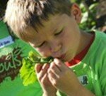 healthy choices icon