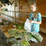 fresh garden produce w